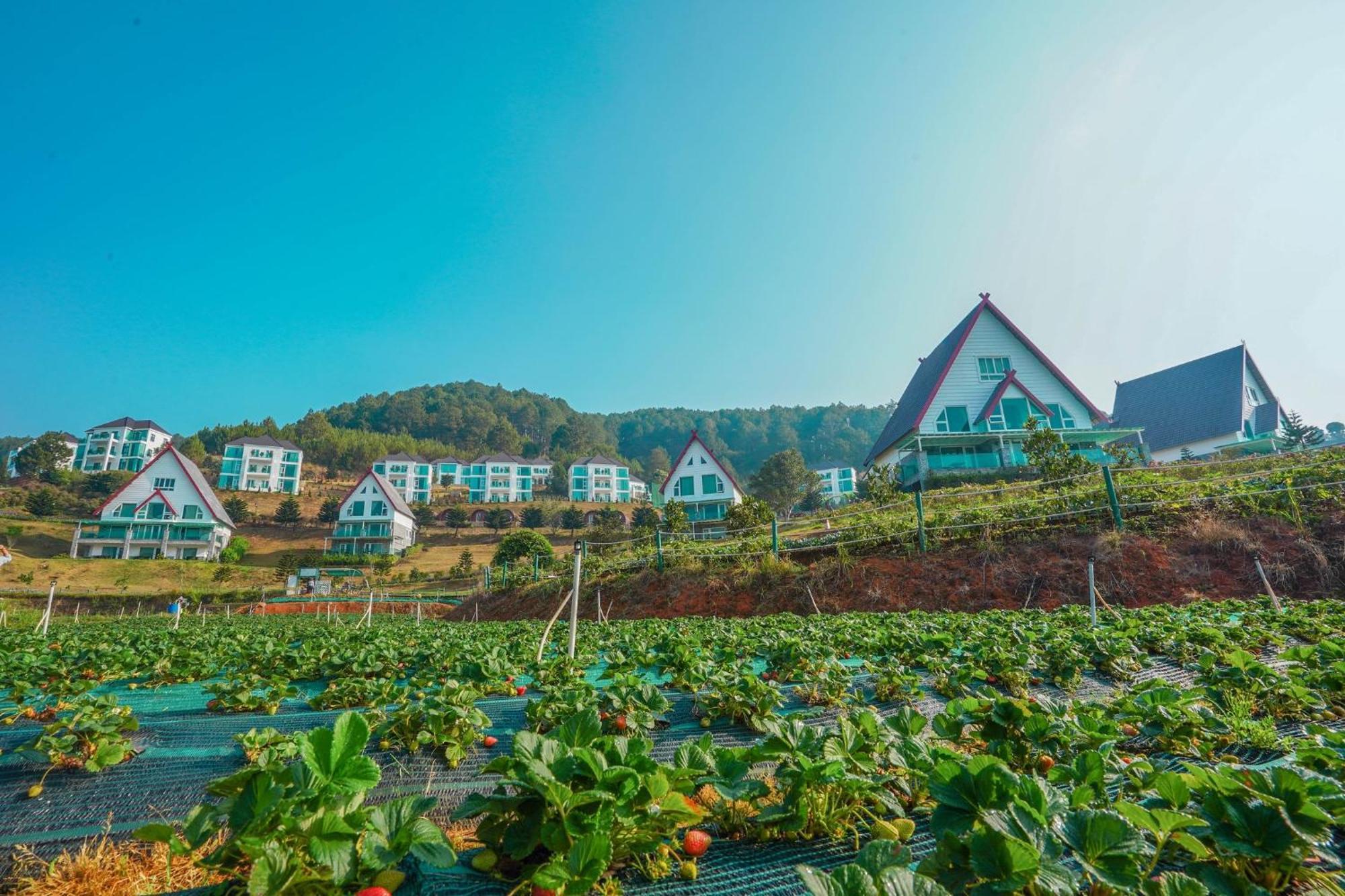 Dalat Wonder Resort Extérieur photo